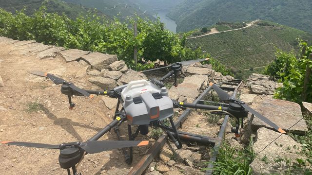 La bodega Regina Viarum incorpora ‘drones viticultores’ en la Ribeira Sacra