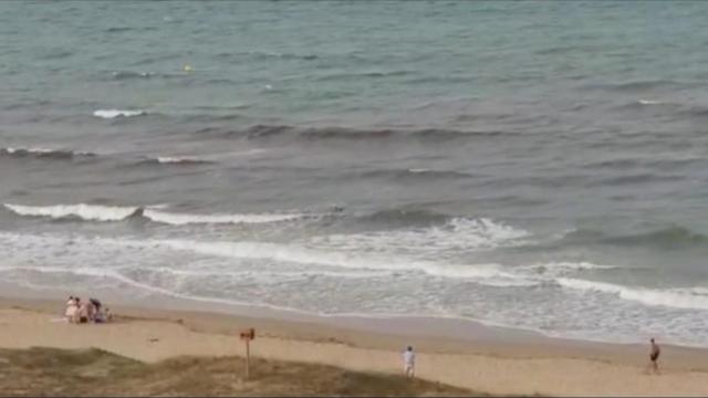 Rescate de un bañista en Arenales del Sol (Alicante).