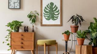 Las claves para hacer de tu casa un espacio más sostenible