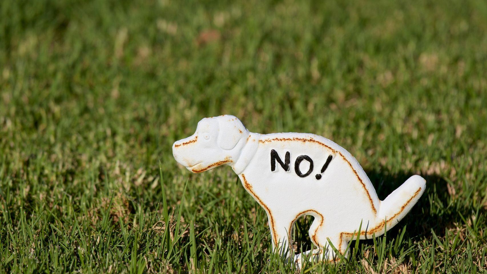 Pontevedra estudia crear un registro de ADN para heces de perros no recogidas en la calle