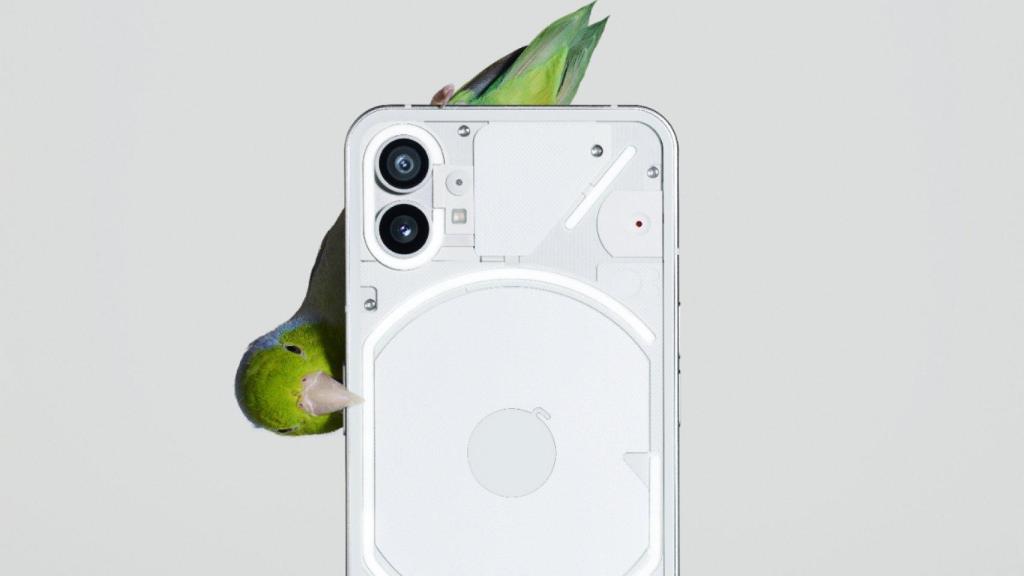 Nothing phone (1)