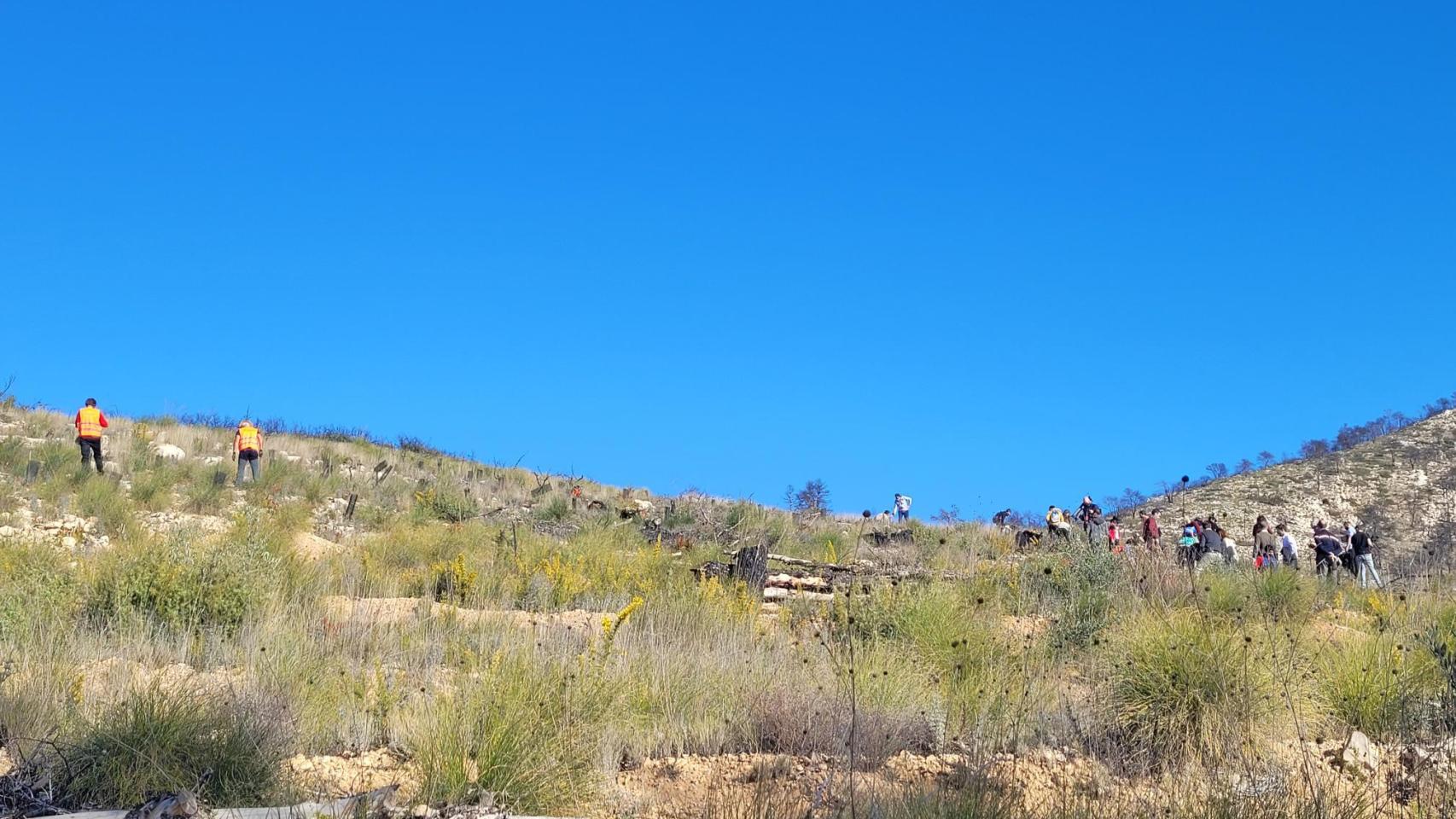 Preparación de una zona semiforestal ante posibles incendios.
