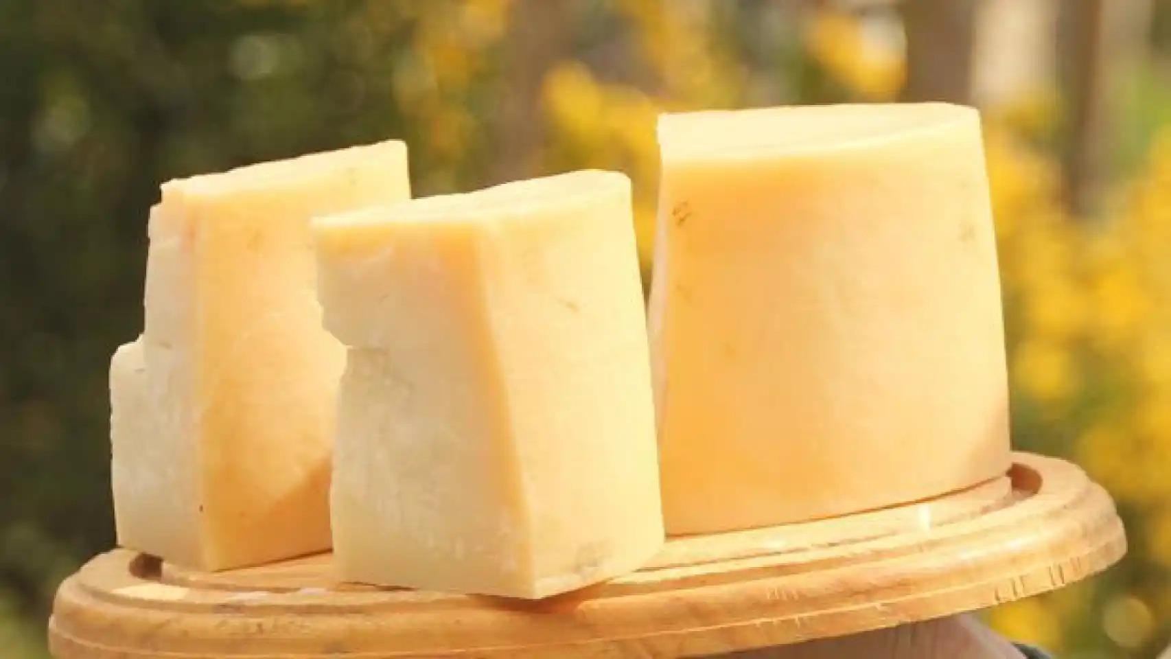 Un queso vegano.