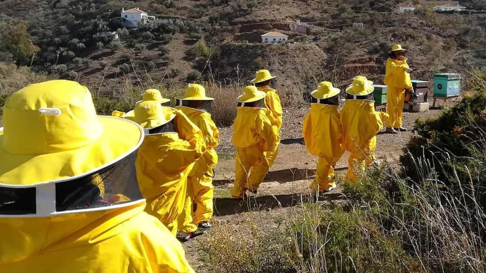 Esta actividad incluye visitar las colmenas de las abejas.