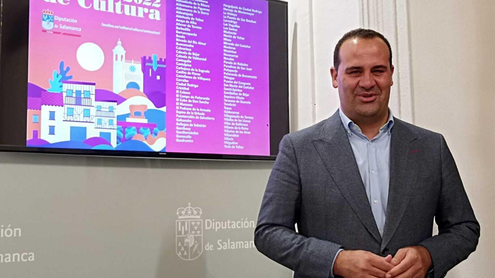 El diputado de Cultura, David Mingo