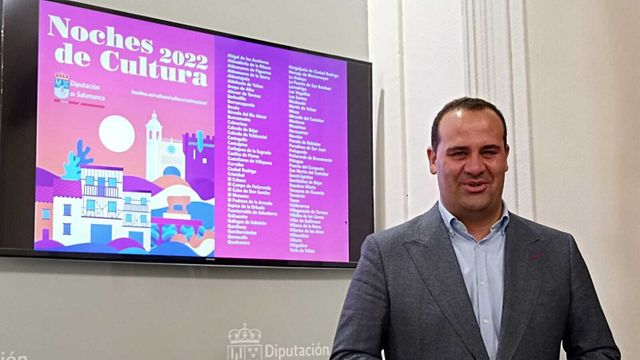 El diputado de Cultura, David Mingo