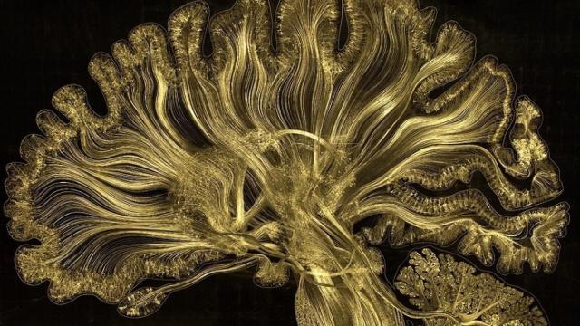 Obra del artista Greg Dunn.