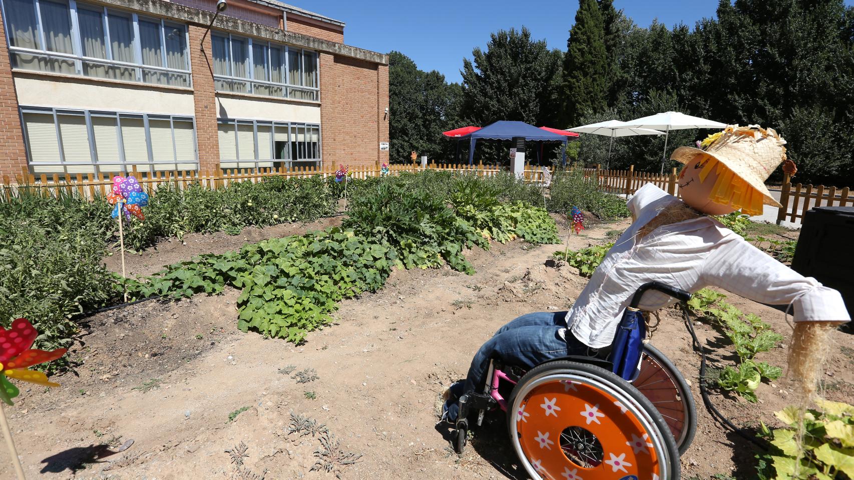 Imagen de 'El huerto del hospi'.
