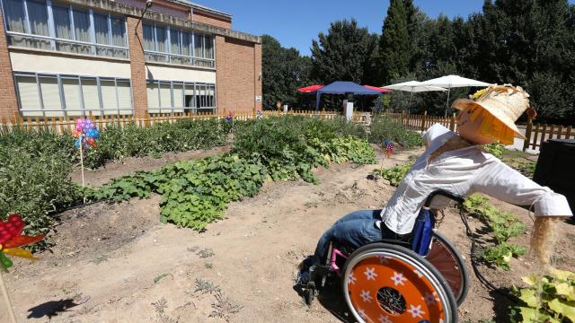 Imagen de 'El huerto del hospi'.