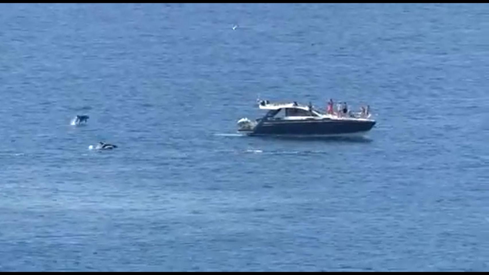 Un momento del vídeo grabado en Torrevieja.