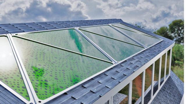 Los biopaneles podrían sustituir a las placas solares