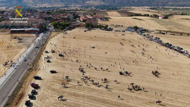 Encierro por el campo en Uceda (Guadalajara).