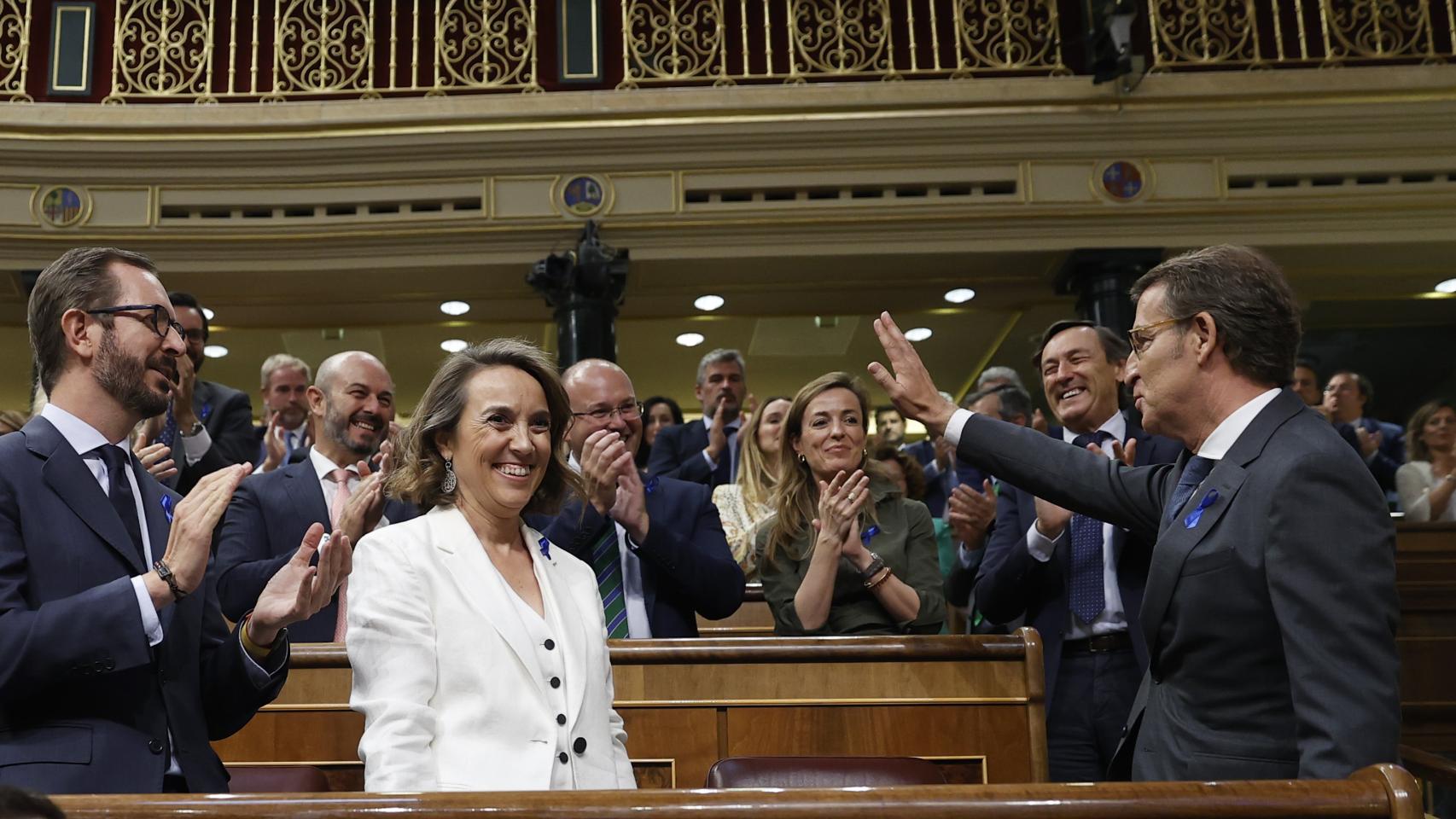 Alberto Núñez Feijóo, aplaudido por su grupo a su llegada al hemiciclo, todos con lazo azul.
