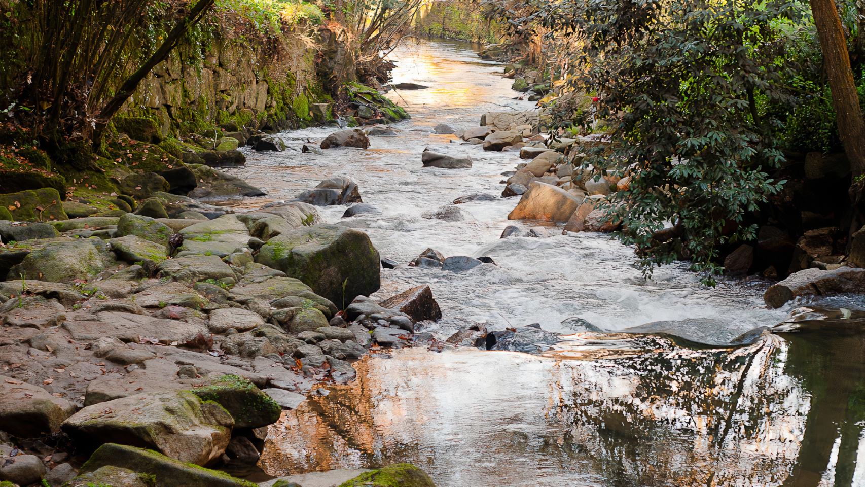 Río Lagares de Vigo.