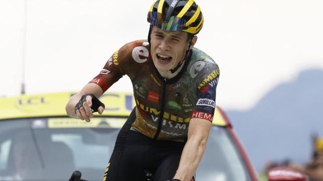 Jonas Vingegaard celebra.