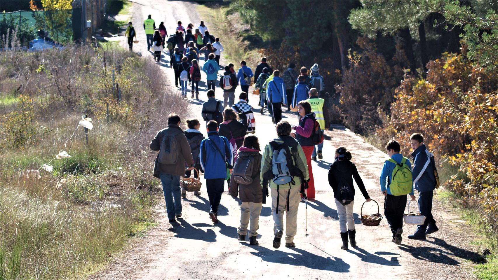Una salida de campo en una jornada micológica en Palencia