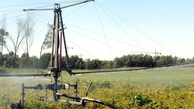 Un cañón de riego con alas arroja agua sobre una plantación de patatas en la comunidad de regantes Geria-Simancas en Valladolid