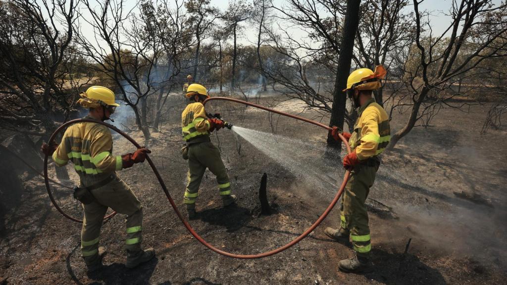 Labores de extinción del incendio forestal en una imagen de archivo.