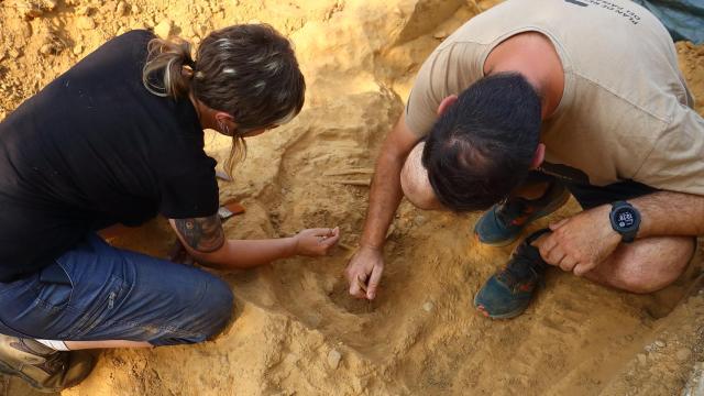 Visita a las exhumaciones de restos de asesinados por la represión franquista en el cementerio de Fuentesnuevas (León)