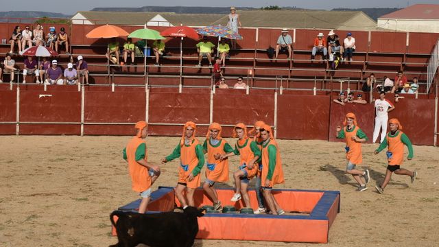 Imagen del Gran Prix de peñas en Cigales