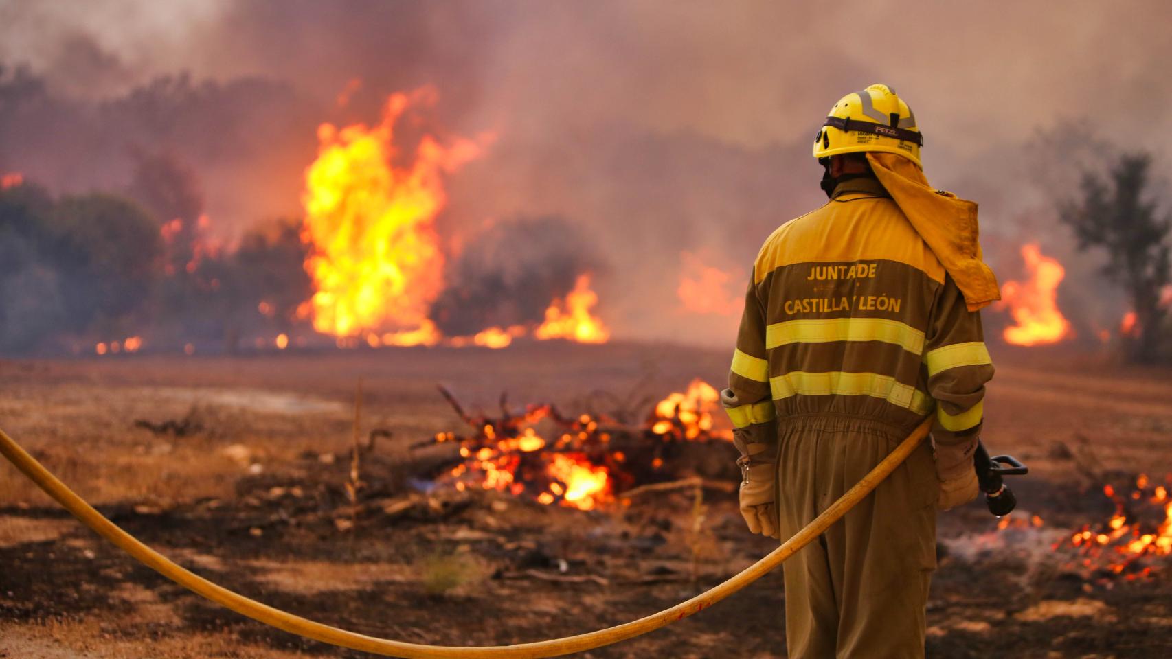 Incendio en Roelos de Sayago