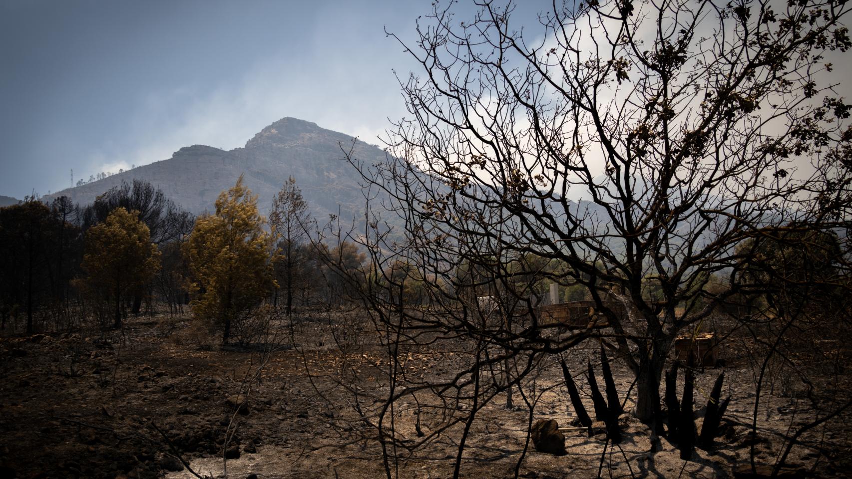 Imagen del monte tras el paso el fuego.