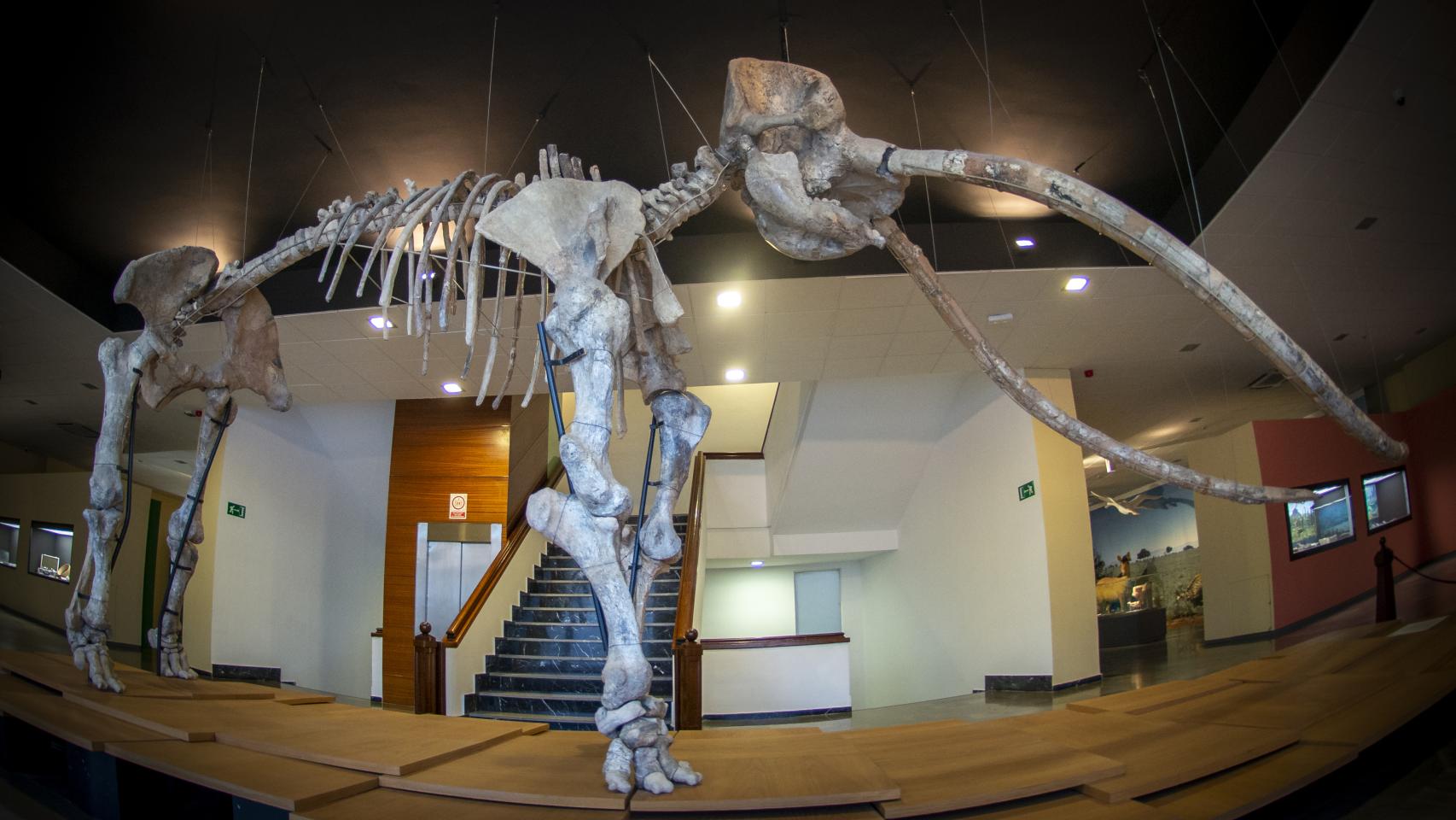 Museo de Ciudad Real. Imagen de archivo Ayuntamiento de Ciudad Real