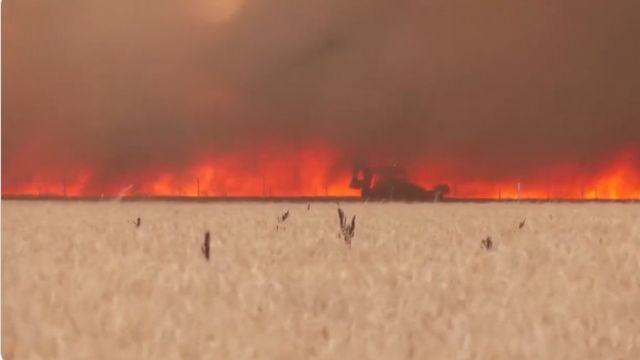 Engullido por las llamas en Tábara: el dramático vídeo del bombero que ha sido ingresado en estado crítico