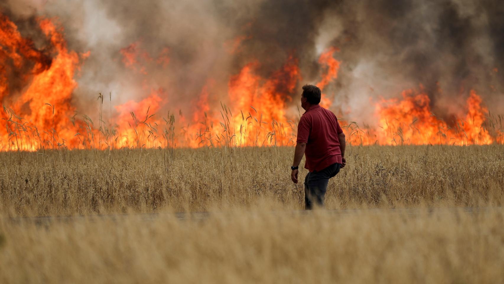 Incendio entre Tabara y Losacio, en Zamora, a 18 de julio de 2022.
