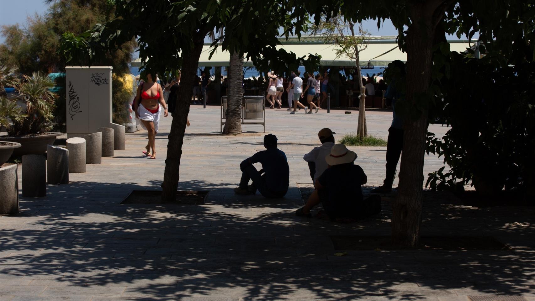 Varias personas se protegen del sol bajo la sombra de unos árboles.