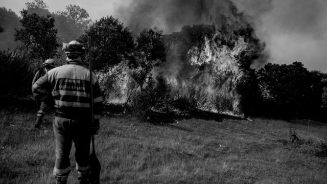 Incendio forestal