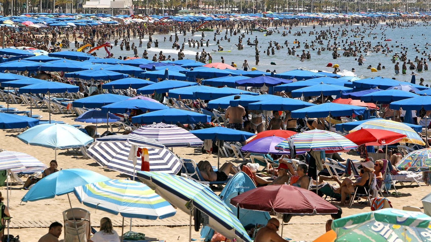 Aspecto que presentaba una de las playas de Benidorm la semana pasada.