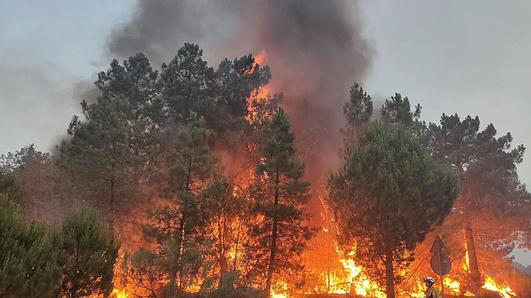 Imagen del incendio de Cebreros.