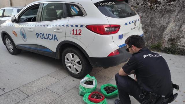 Agente con los 21 kilos de percebe requisados en Corrubedo en foto de archivo.
