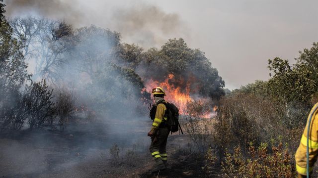 Varios bomberos trabajan en la extinción del fuego del incendio de Losacio, en Zamora
