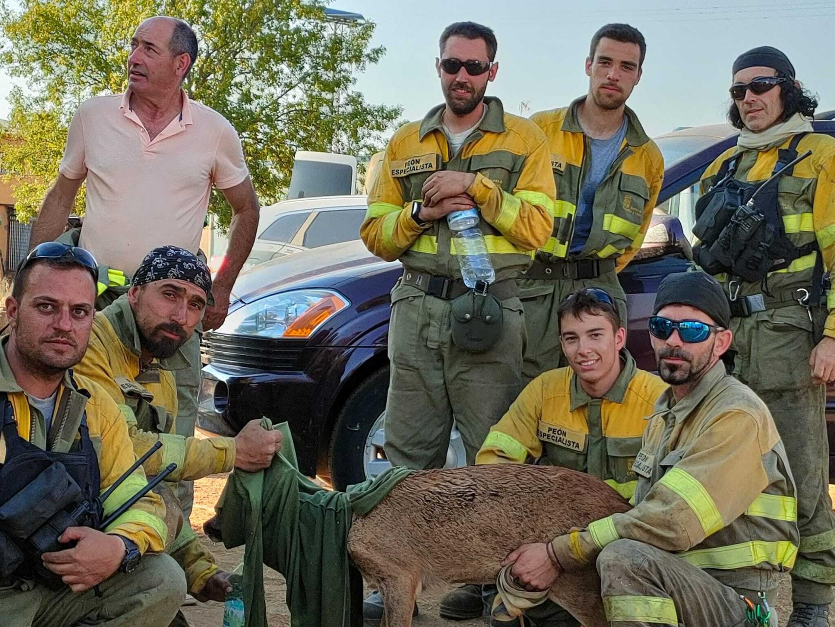 Miembros de la ELIF dan de beber al corzo
