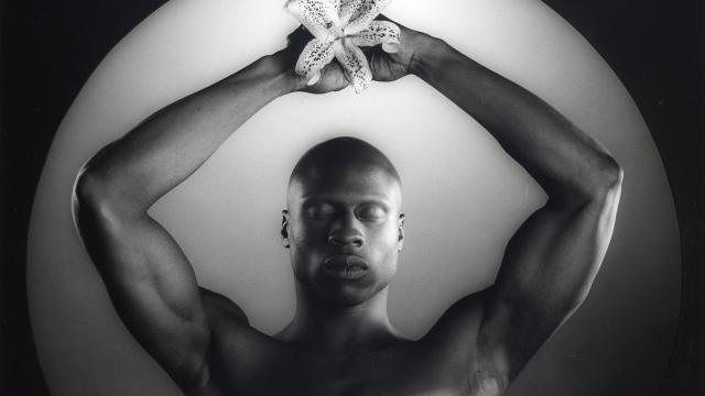 Las fotografías de Robert Mapplethorpe se proyectarán en las funciones de 'Hadrian'. © The Robert Mapplethorpe Foundation, Inc.  All rights reserved