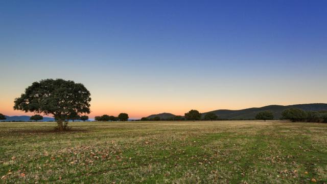 El Parque Nacional de Cabañeros.