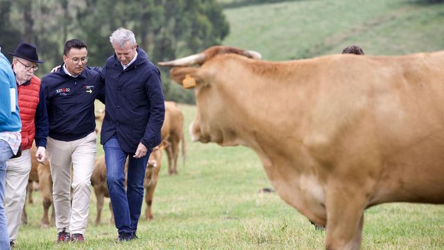 Alfonso Rueda y José González visitan una explotación vacuna en Lugo.
