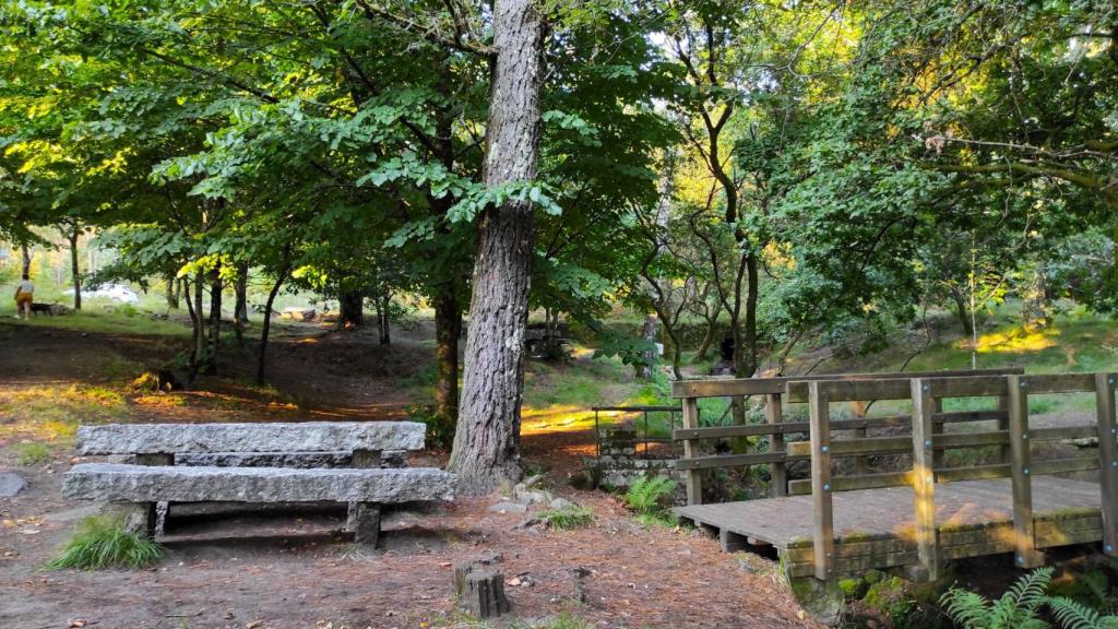 Área de Fontefría, Monte Xiabre. Foto: Thalia García