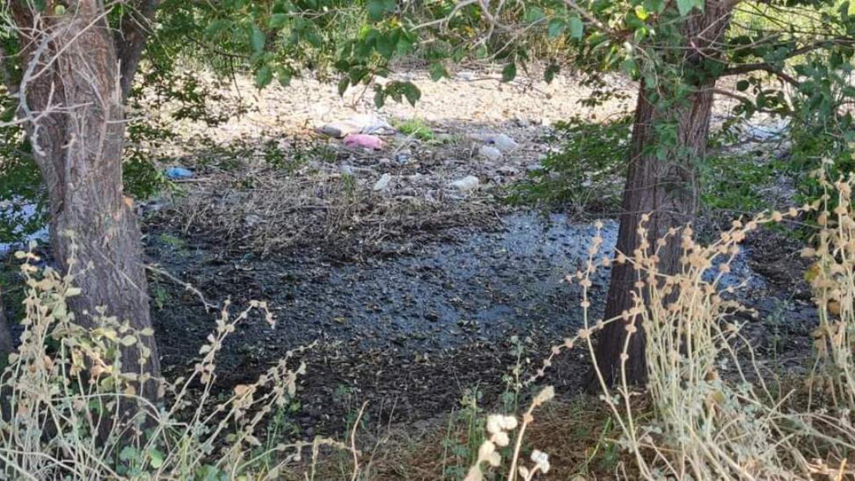 La basura se acumula en el canal. Foto: UCIN.