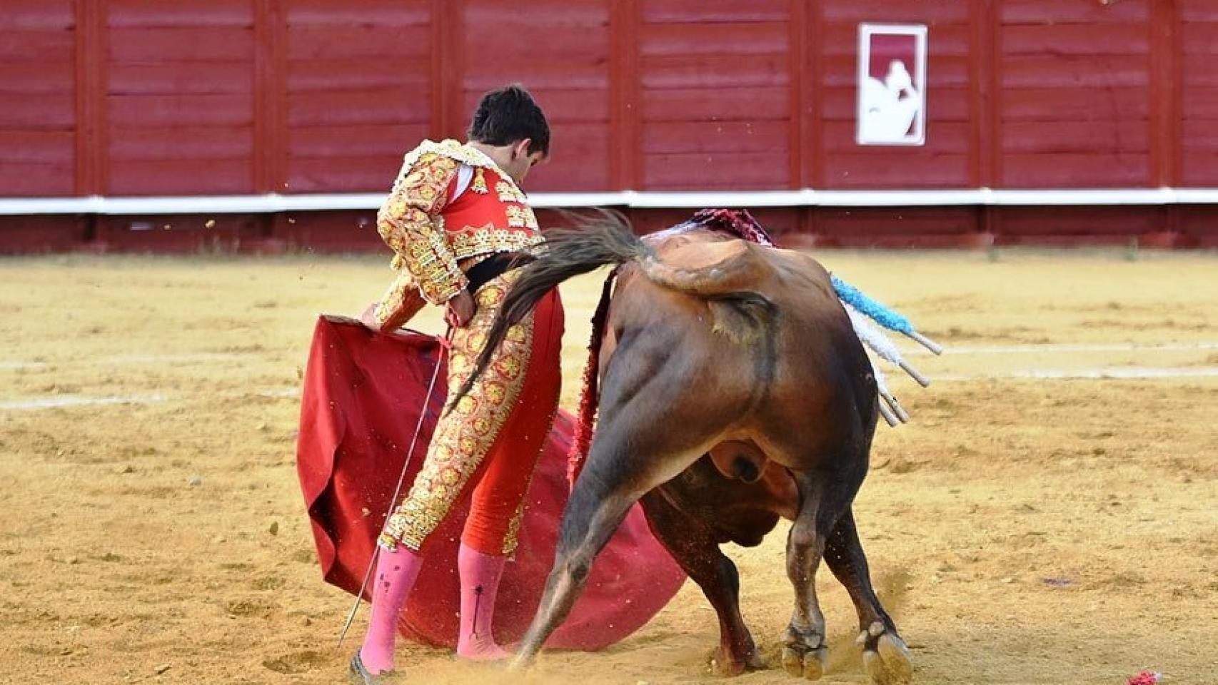 Imagen de una novillada