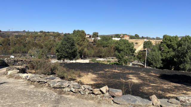 Una tierra quemada en Losacio