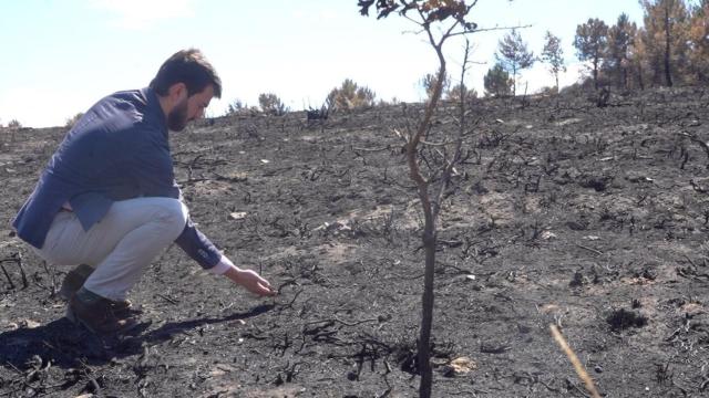 El vicepresidente de la Junta, Juan García-Gallardo, durante su visita a la Sierra de la Culebra, en Zamora,  el pasado 25 de junio.