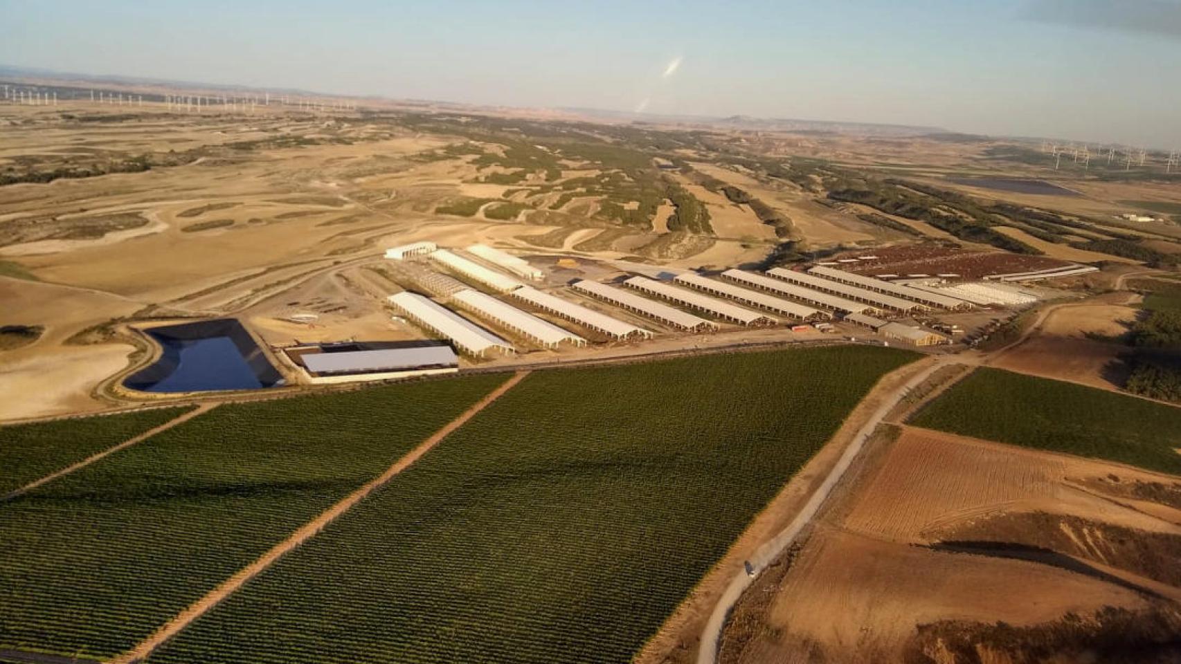 Los terrenos para desarrollar el proyecto de macrovaquería en Noviercas