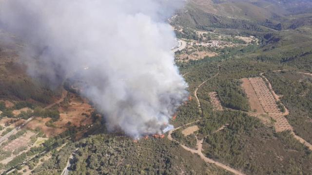 Con la colaboración de Minsait