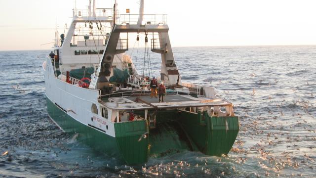 Barco arrastrero.