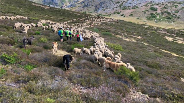 Arranca la Aventura Trashumante, una travesía por la montaña de 20 jóvenes que superaron el cáncer