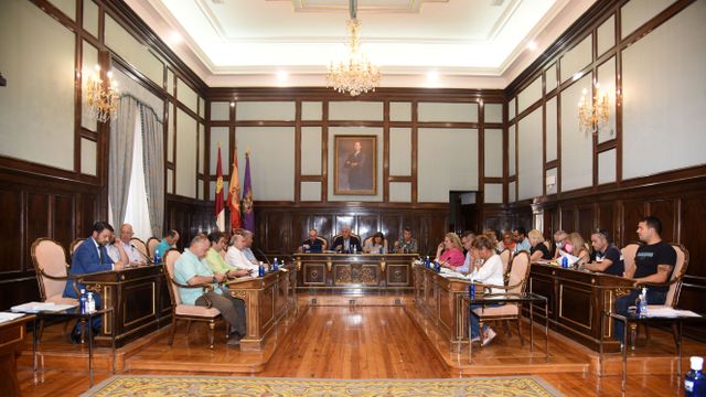 Pleno de la Diputación de Guadalajara.