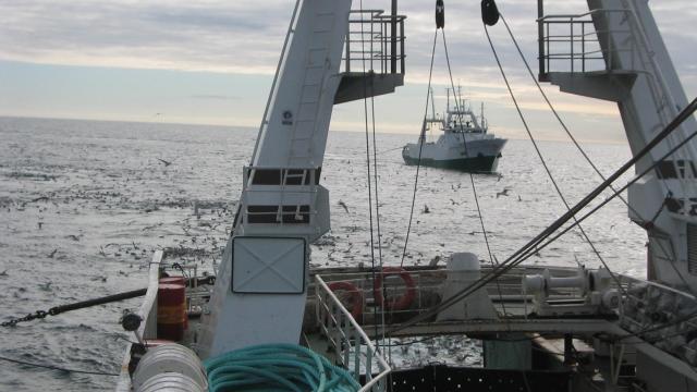 Barco arrastrero.